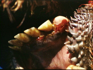 Sere op die
 tandvleis